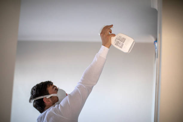 Best Mold Testing and Inspection Services in Setauket, NY