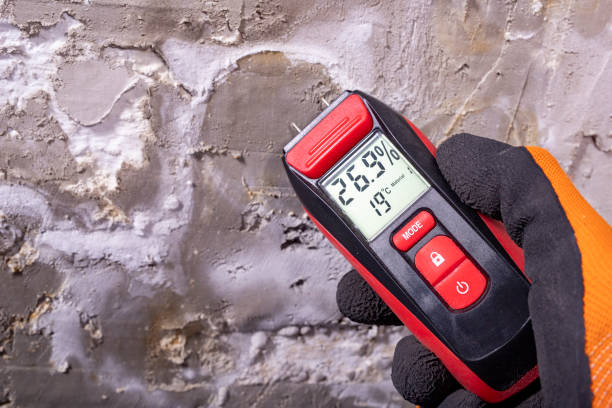 Best Post-Flood Mold Remediation in Setauket, NY
